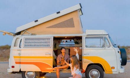 Van Living Ideas